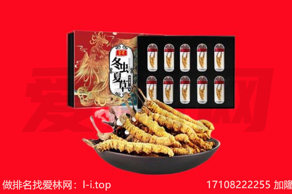 阿里地区措勤回收虫草.jpg